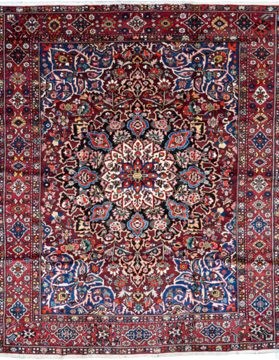 Persian Bakhtiari 10'2" x 12'