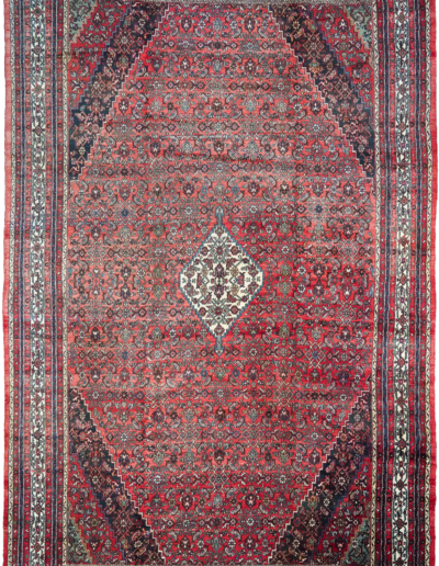 Persian Hamadan Bibikabad 10'9" x 17'3"