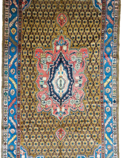 Persian Koliaei 5' x 9'9"